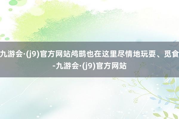 九游会·(j9)官方网站鸬鹚也在这里尽情地玩耍、觅食-九游会·(j9)官方网站