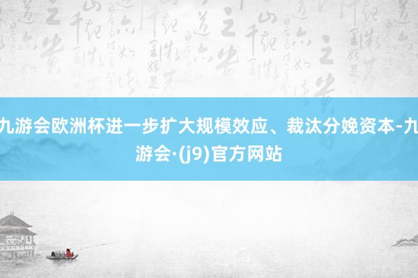 九游会欧洲杯进一步扩大规模效应、裁汰分娩资本-九游会·(j9)官方网站